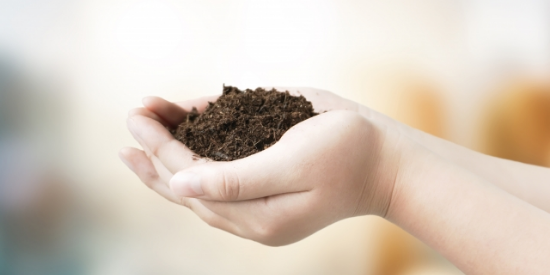 手のひらにすくった土